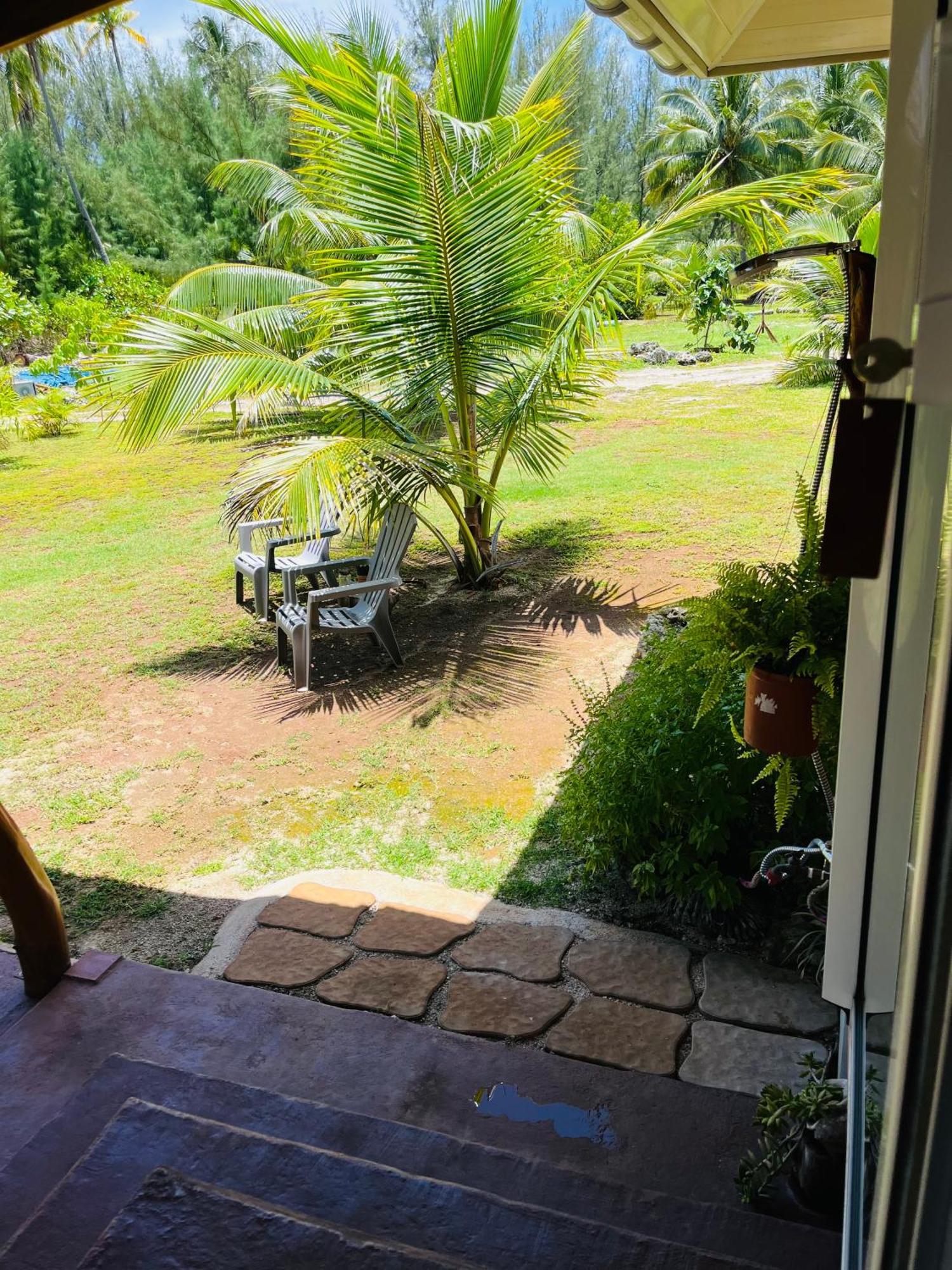 Bungalow Kura 莫雷阿 外观 照片